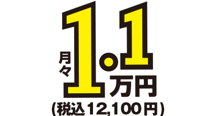 月額1万円～税込11,000円